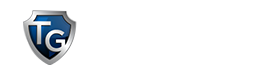 台灣之光